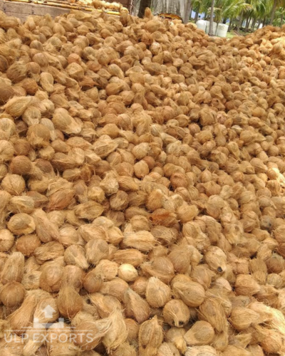 A collection of coconuts strewn across an open field, ready to export through innovation and planning