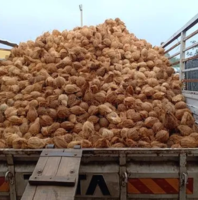 A truck filled with coconuts is being carefully loaded onto a trailer for efficient and safe delivery