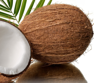 One open and one full coconut are in the process of collecting coconut water for shipping worldwide